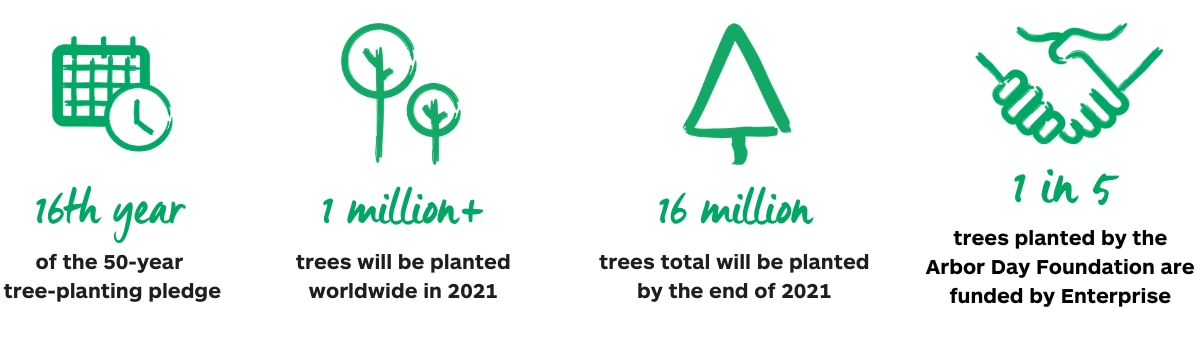 Icônes et informations du serment de l'arbre